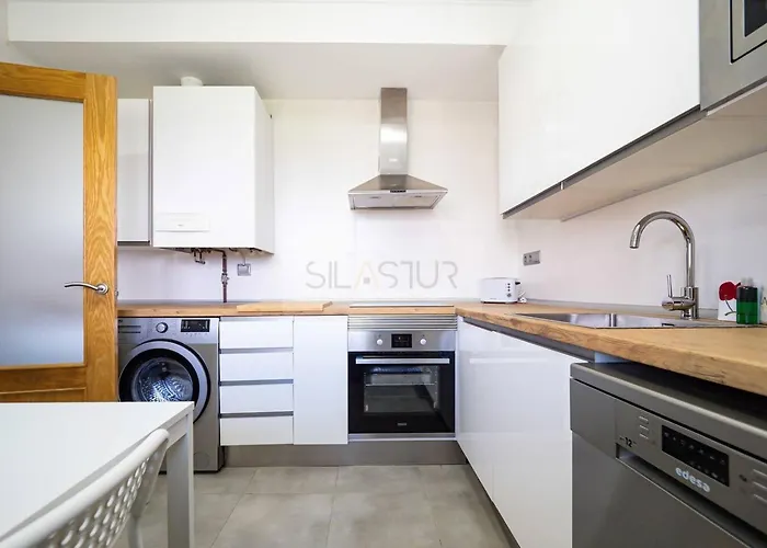 Mirador De Aviles By Silastur 度假居 *