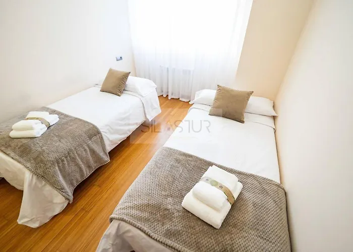 Mirador De Aviles By Silastur 度假居 *