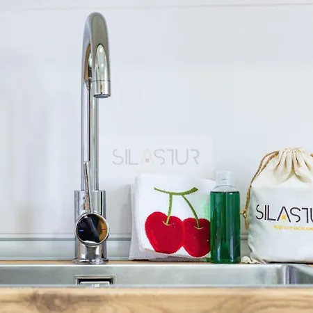 Mirador De Aviles By Silastur * Santiago Del Monte